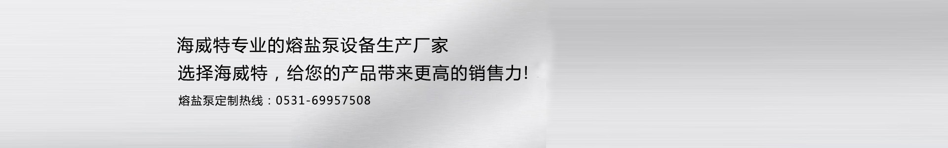 熔鹽泵-濟(jì)南海威特泵業(yè)有限公司